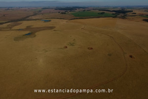 OS ARAGANOS   HERANÇAS 1984.00_01_37_28.Quadro006_5721039628a1b77ecc8dfd838da0a62e339b98ce.jpg